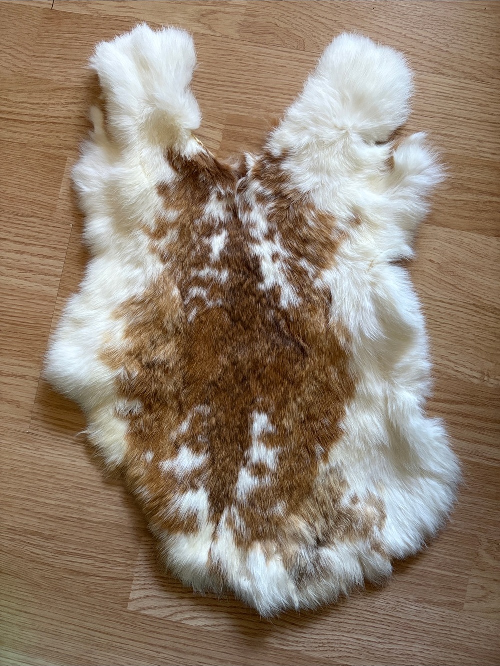 B0083 rabbit pelt